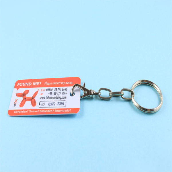 Combo Card - Master + 1 Keychain Card