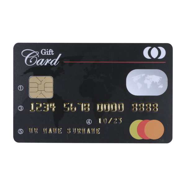 Contact Chip Card